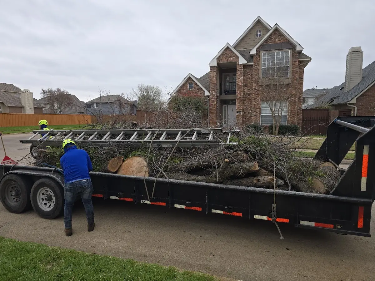 Expert Tree Pest Control with proper safety equipment in Garber